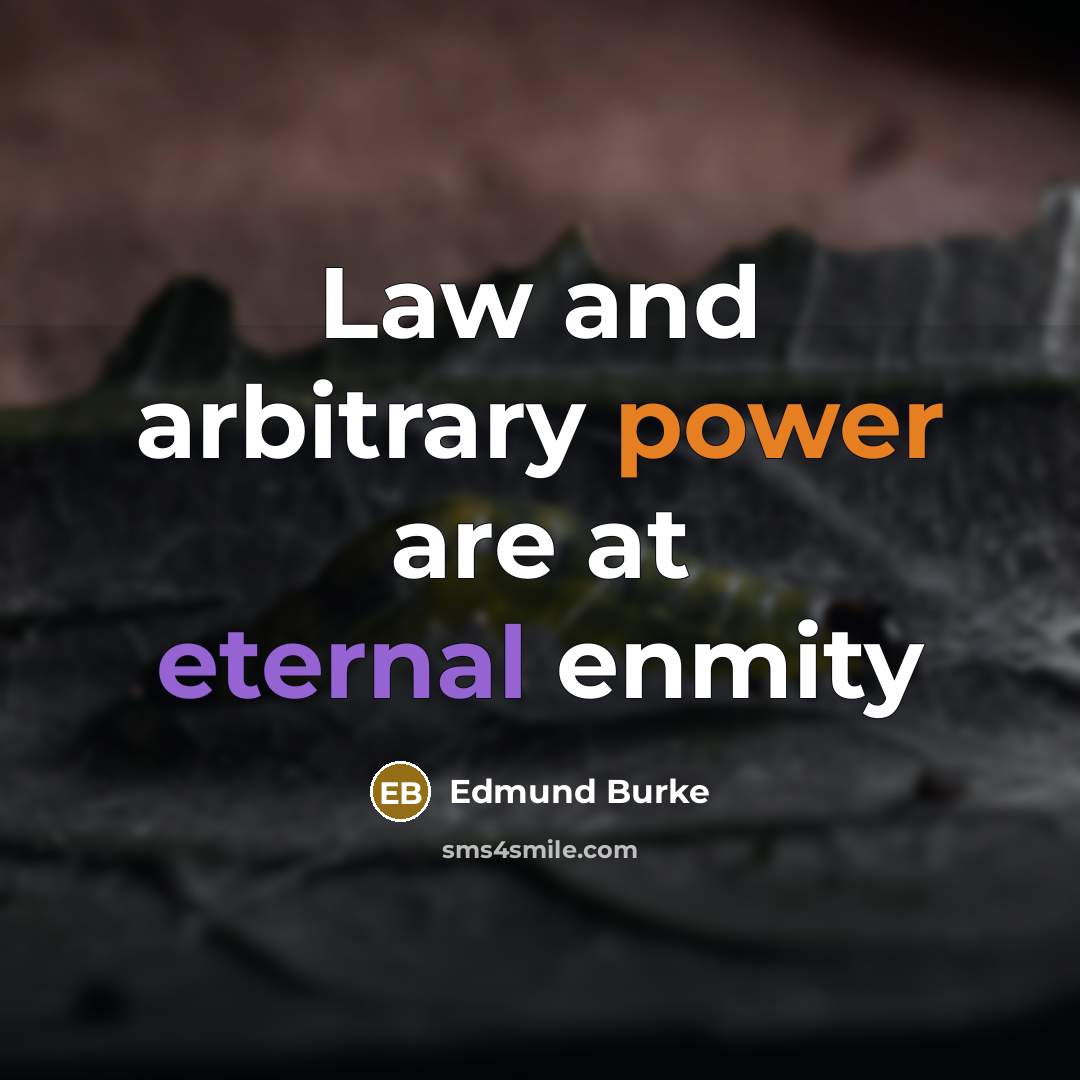 “Law and arbitrary power are at eternal enmity” quote by Edmund Burke