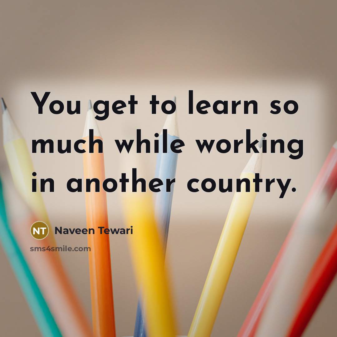 “You get to learn so much while working in another country.” quote by Naveen Tewari
