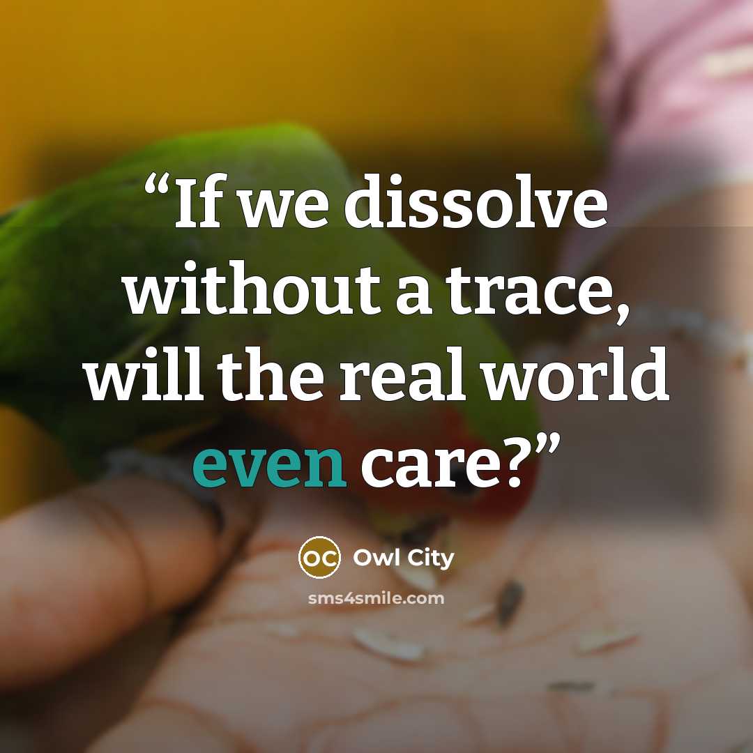 “If we dissolve without a trace, will the real world even care?” quote by Owl City