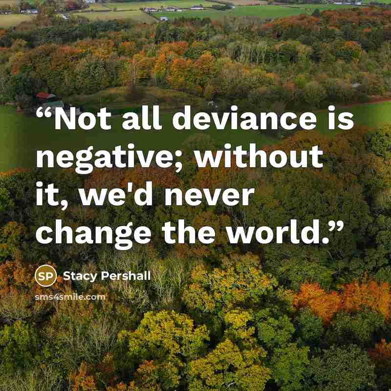 “Not all deviance is negative; without it, we'd never change the world.” quote by Stacy Pershall
