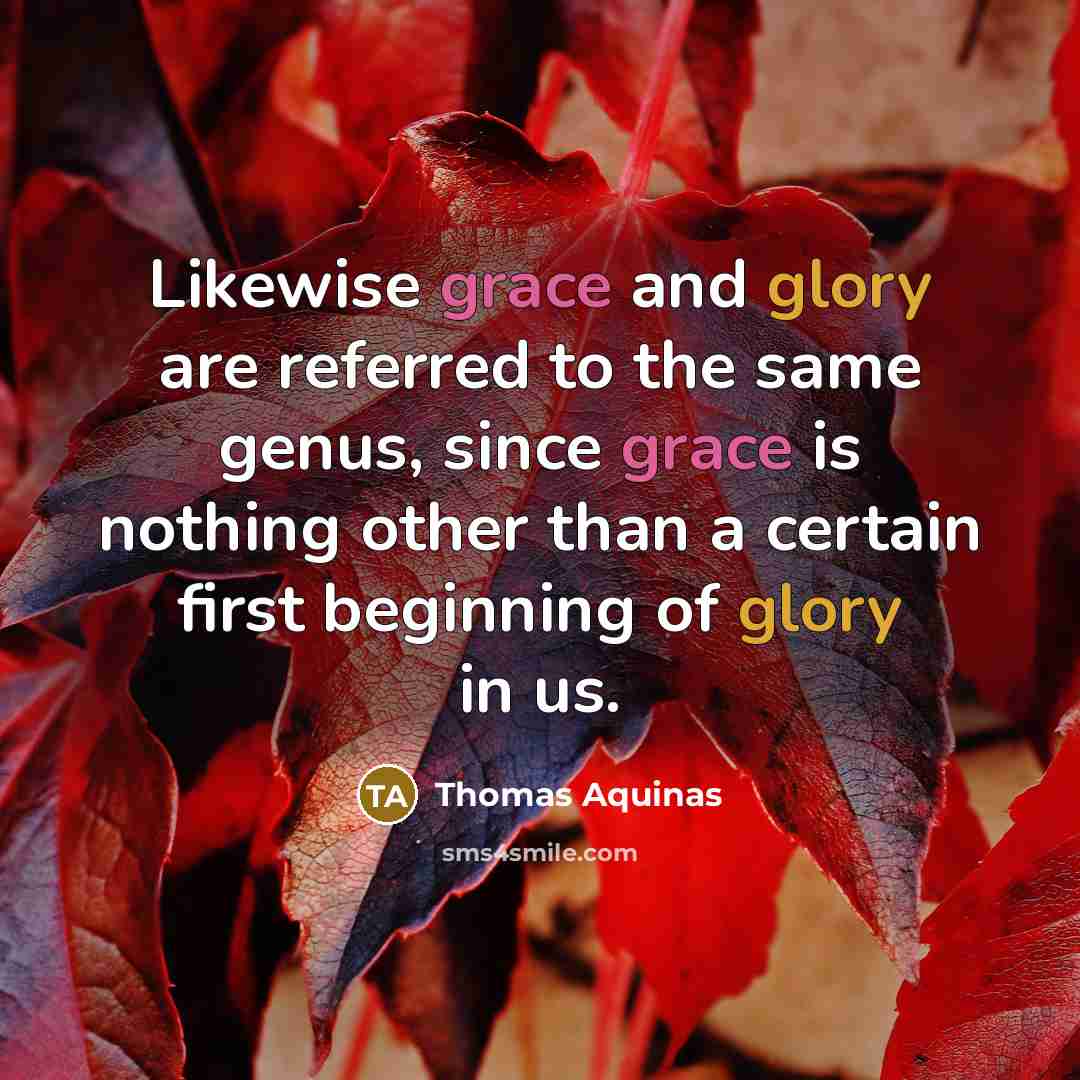“Likewise grace and glory are referred to the same genus, since grace is nothing other than a certain first beginning of glory in us.” quote by Thomas Aquinas