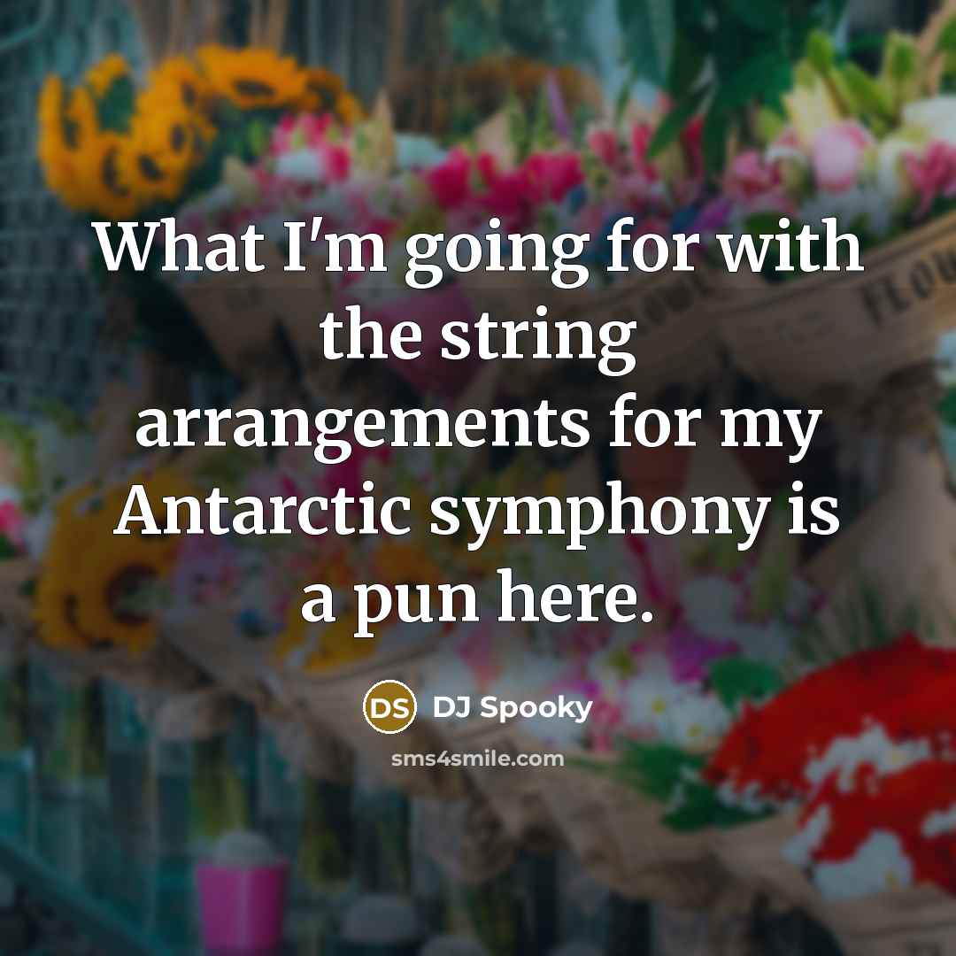 “What I'm going for with the string arrangements for my Antarctic symphony is a pun here.” quote by DJ Spooky
