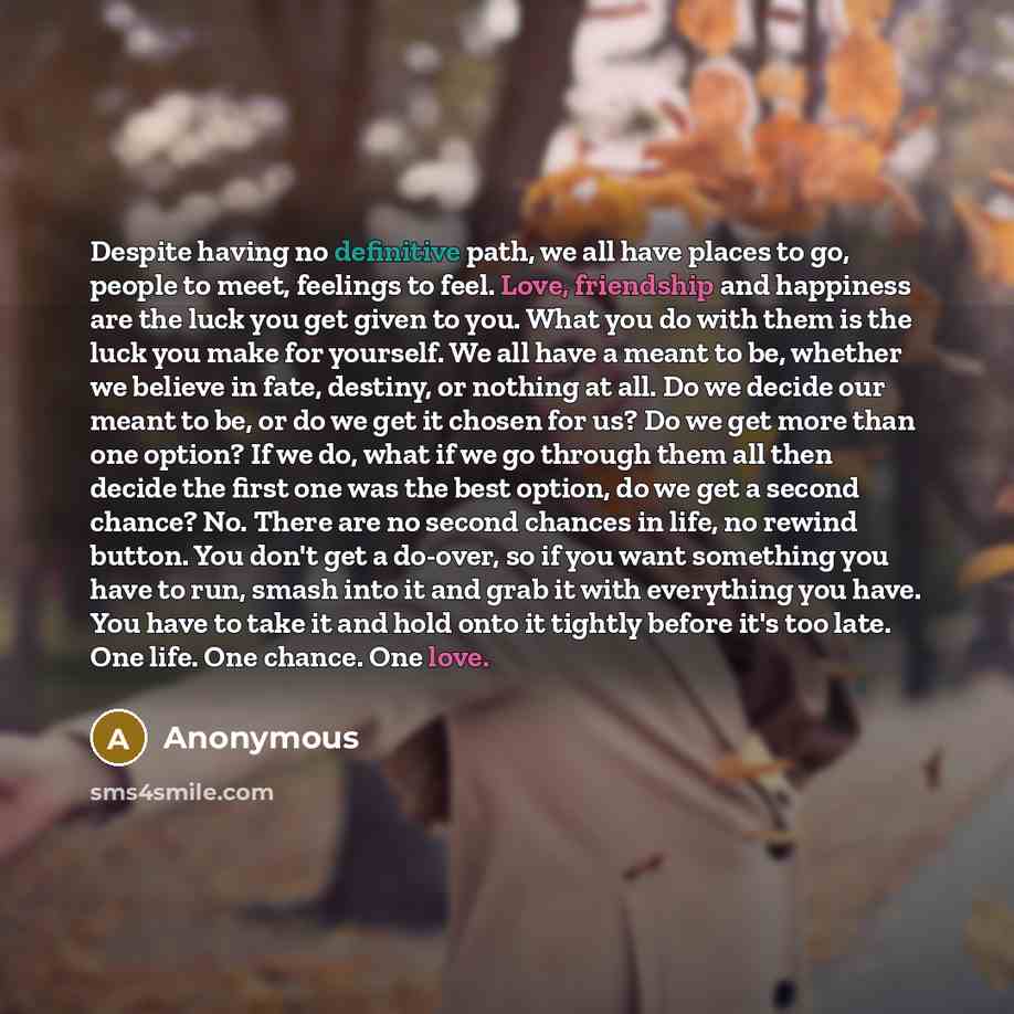 “Despite having no definitive path, we all have places to go, people to meet, feelings to feel. Love, friendship and happiness are the luck you get given to you. What you do with them is the luck you make for yourself. We all have a meant to be, whether we believe in fate, destiny, or nothing at…” quote by Anonymous