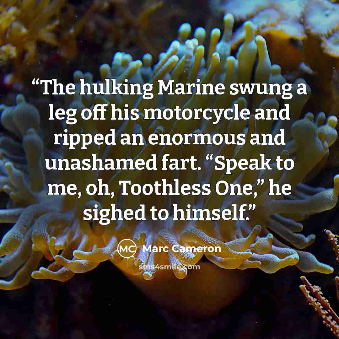 “The hulking Marine swung a leg off his motorcycle and ripped an enormous and unashamed fart. “Speak to me, oh, Toothless One,” he sighed to himself.” quote by Marc Cameron