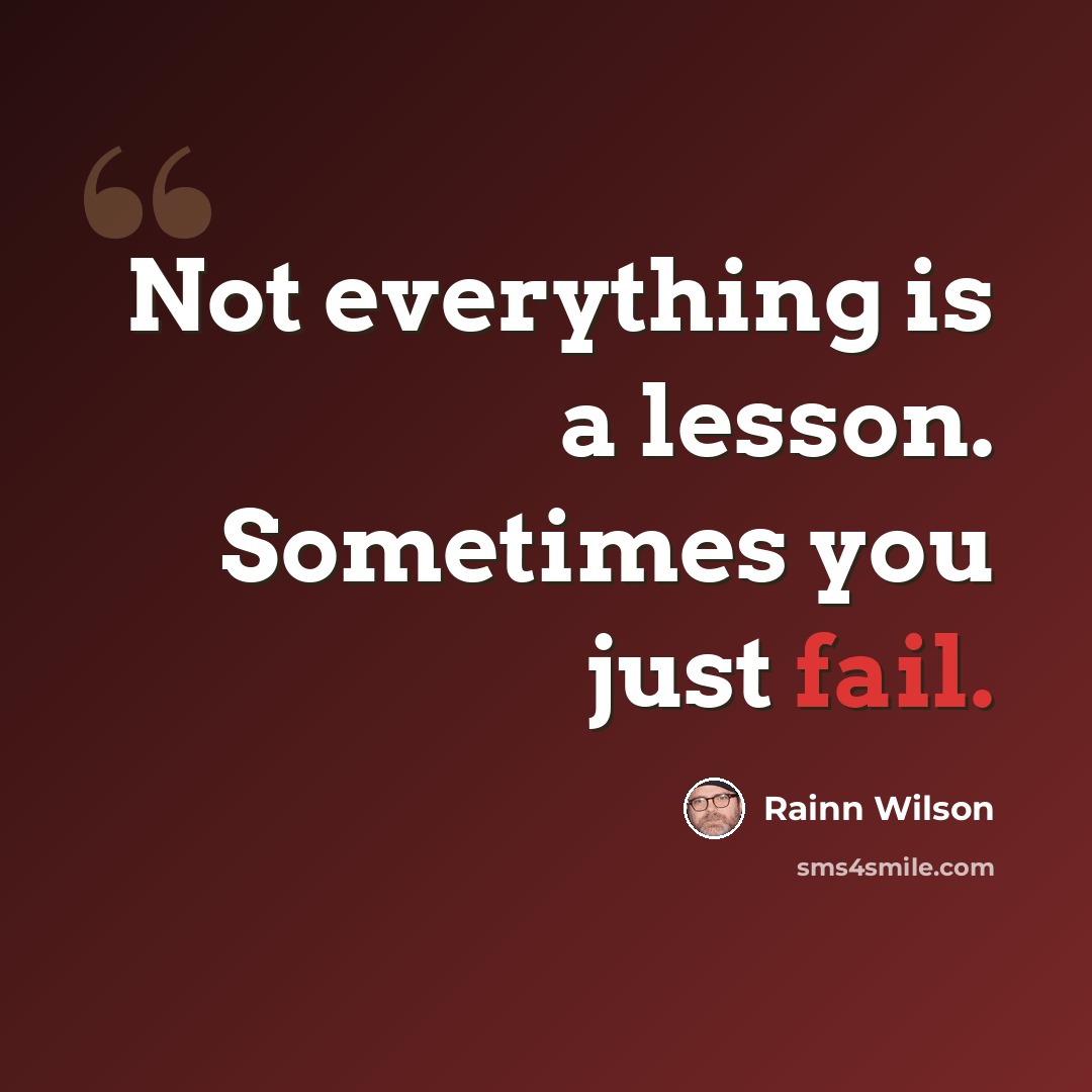 “Not everything is a lesson. Sometimes you just fail.” quote by Rainn Wilson