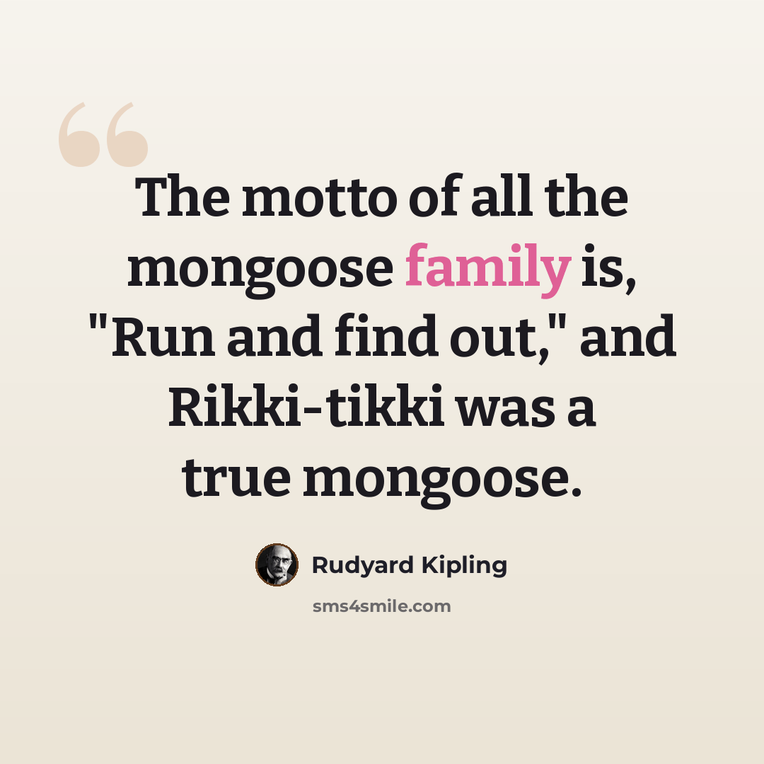 “The motto of all the mongoose family is, "Run and find out," and Rikki-tikki was a true mongoose.” quote by Rudyard Kipling