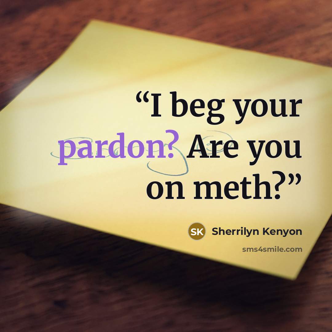 “I beg your pardon? Are you on meth?” quote by Sherrilyn Kenyon