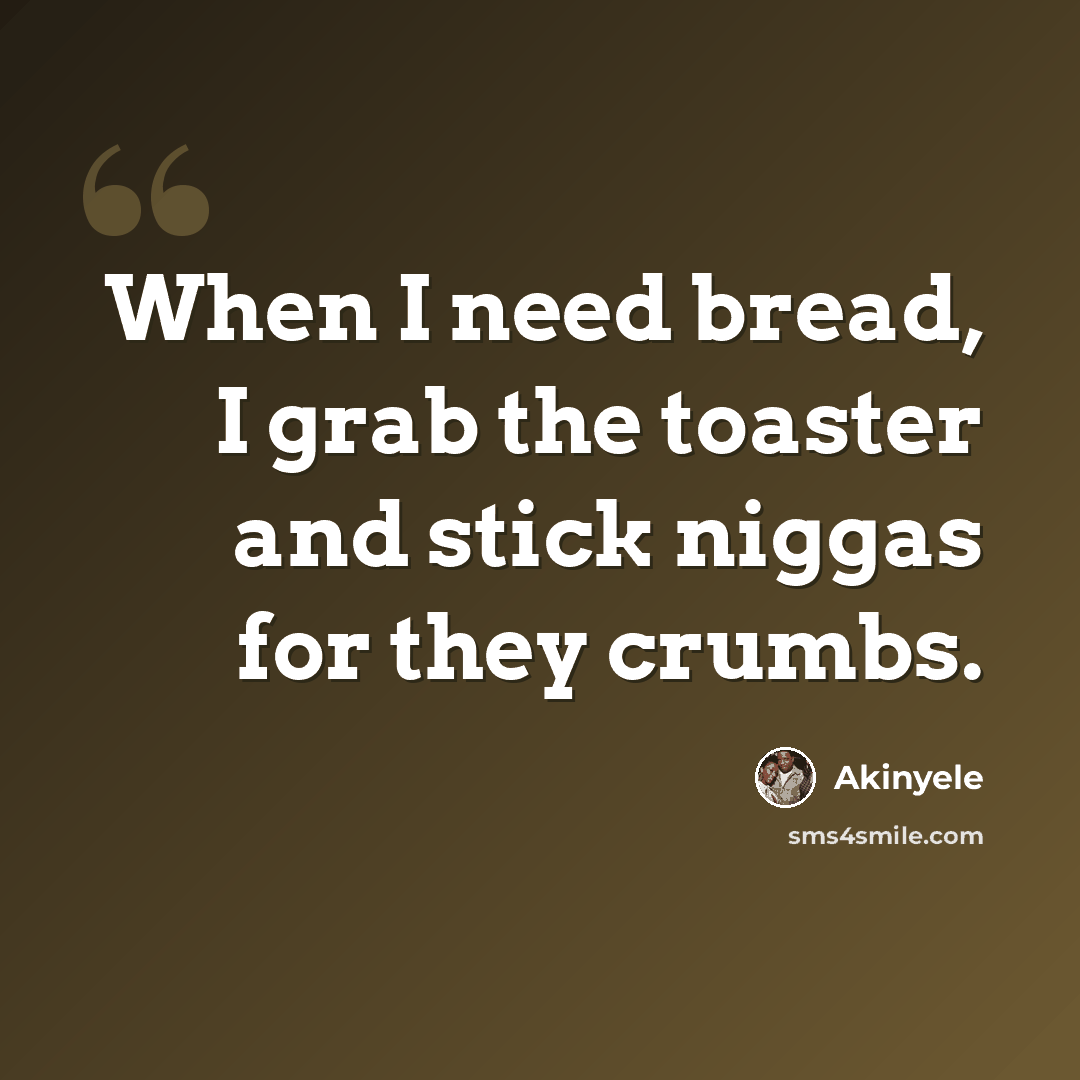 “When I need bread, I grab the toaster and stick niggas for they crumbs.” quote by Akinyele