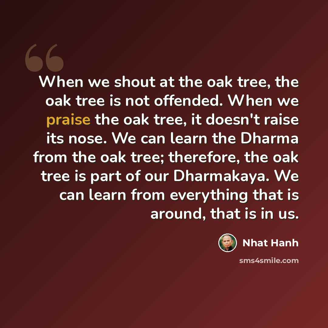 “When we shout at the oak tree, the oak tree is not offended. When we praise the oak tree, it doesn't raise its nose. We can learn the Dharma from the oak tree; therefore, the oak tree is part of our Dharmakaya. We can learn from everything that is around, that is in us.” quote by Nhat Hanh
