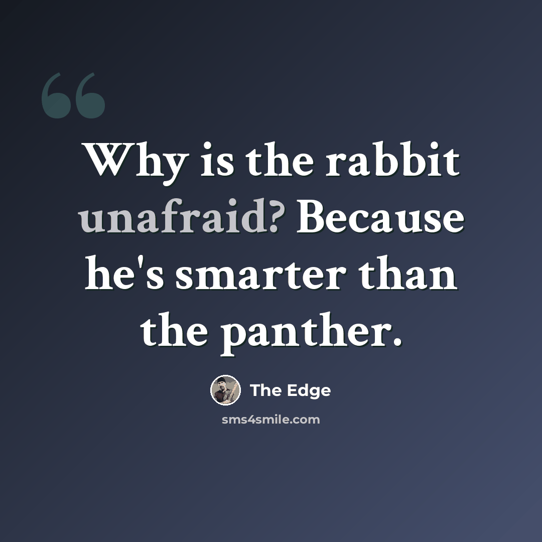 “Why is the rabbit unafraid? Because he's smarter than the panther.” quote by The Edge