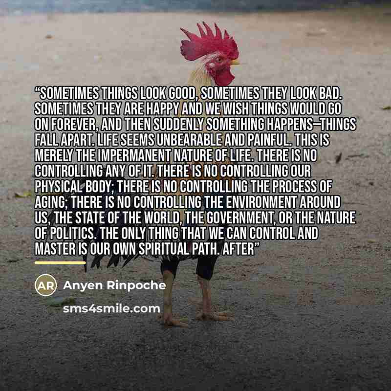 “Sometimes things look good, sometimes they look bad. Sometimes they are happy and we wish things would go on forever, and then suddenly something happens—things fall apart. Life seems unbearable and painful. This is merely the impermanent nature of life. There is no controlling any of it. There is…” quote by Anyen Rinpoche