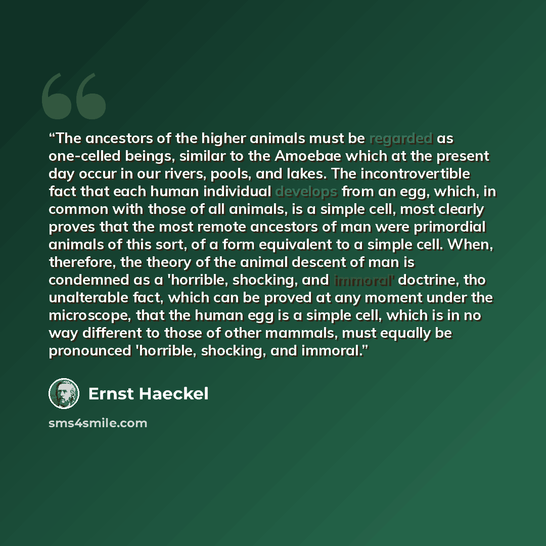 “The ancestors of the higher animals must be regarded as one-celled beings, similar to the Amoebae which at the present day occur in our rivers, pools, and lakes. The incontrovertible fact that each human individual develops from an egg, which, in common with those of all animals, is a simple cell…” quote by Ernst Haeckel