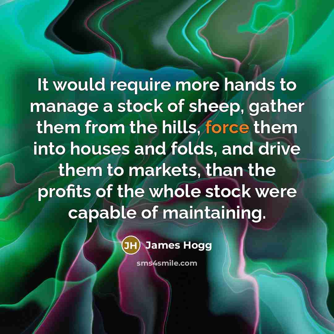 “It would require more hands to manage a stock of sheep, gather them from the hills, force them into houses and folds, and drive them to markets, than the profits of the whole stock were capable of maintaining.” quote by James Hogg
