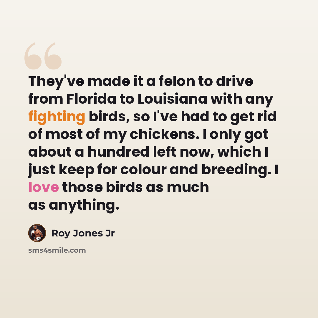 “They've made it a felon to drive from Florida to Louisiana with any fighting birds, so I've had to get rid of most of my chickens. I only got about a hundred left now, which I just keep for colour and breeding. I love those birds as much as anything.” quote by Roy Jones Jr