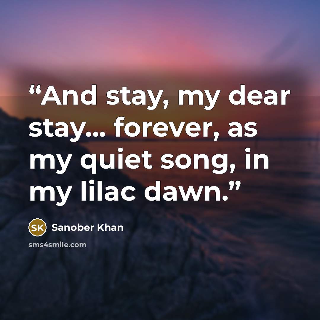 “And stay, my dear stay... forever, as my quiet song, in my lilac dawn.” quote by Sanober Khan