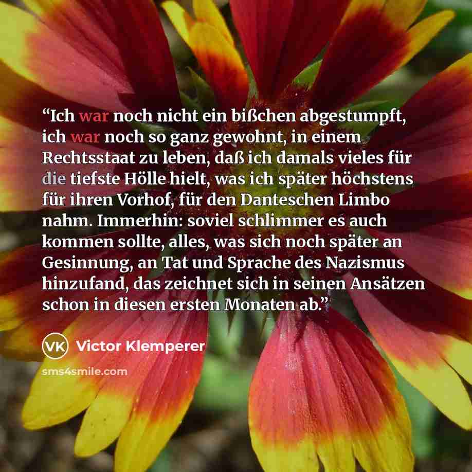 “Ich war noch nicht ein bißchen abgestumpft, ich war noch so ganz gewohnt, in einem Rechtsstaat zu leben, daß ich damals vieles für die tiefste Hölle hielt, was ich später höchstens für ihren Vorhof, für den Danteschen Limbo nahm. Immerhin: soviel schlimmer es auch kommen sollte, alles, was sich…” quote by Victor Klemperer
