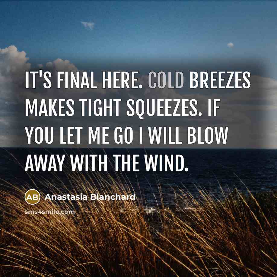 “It's final here. Cold breezes makes tight squeezes. If you let me go I will blow away with the wind.” quote by Anastasia Blanchard