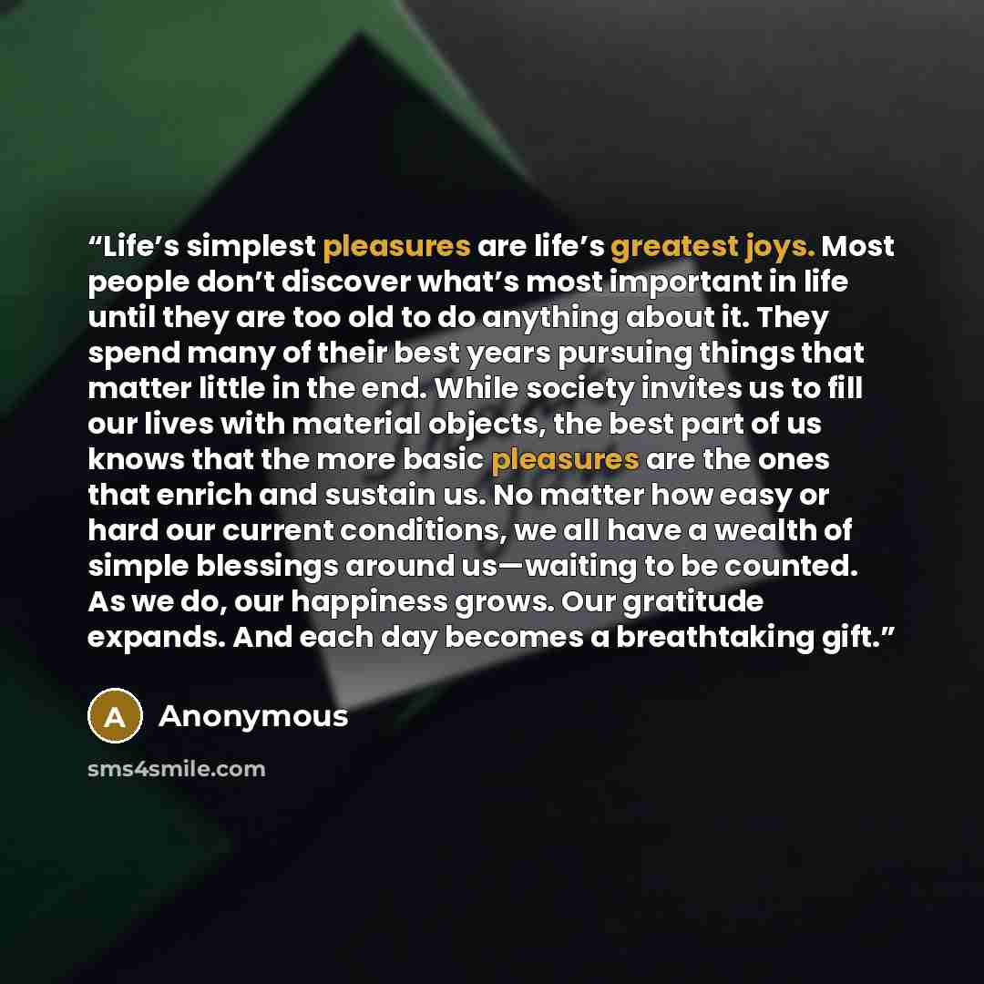 “Life’s simplest pleasures are life’s greatest joys. Most people don’t discover what’s most important in life until they are too old to do anything about it. They spend many of their best years pursuing things that matter little in the end. While society invites us to fill our lives with material…” quote by Anonymous
