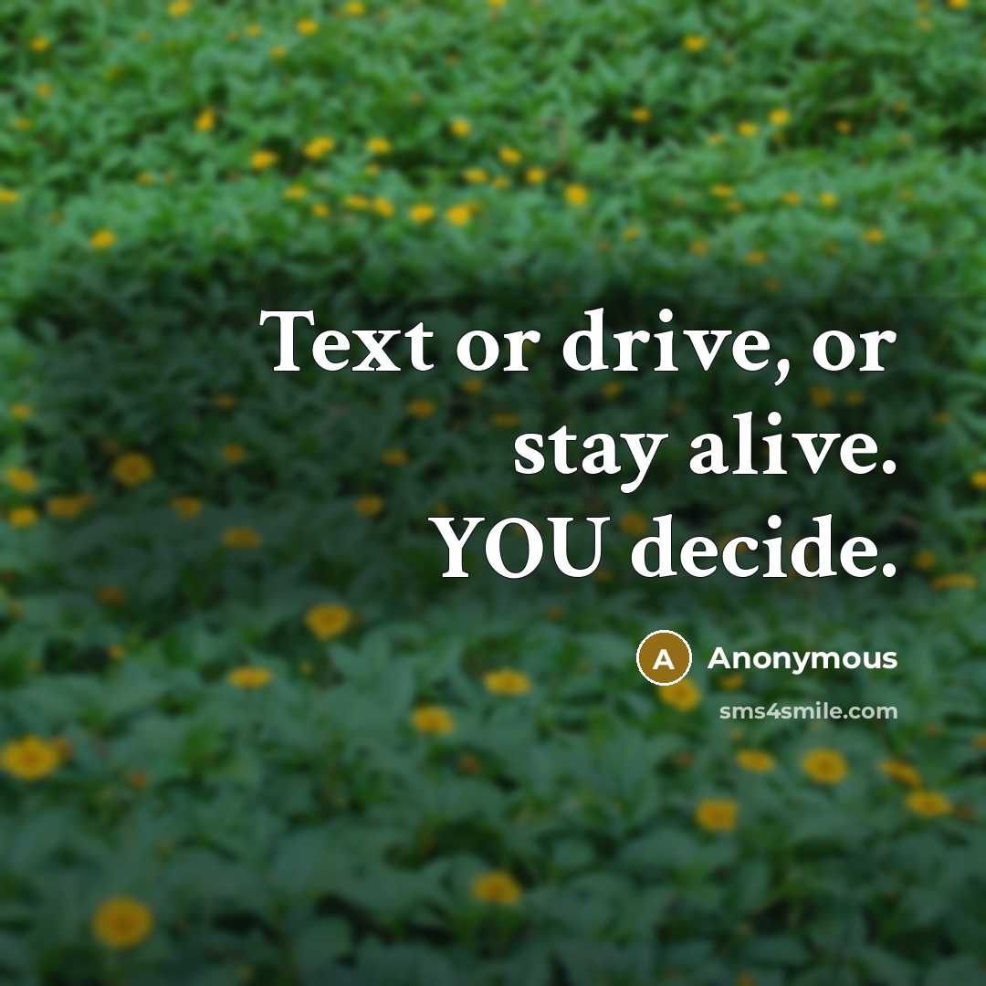 “Text or drive, or stay alive. YOU decide.” quote by Anonymous