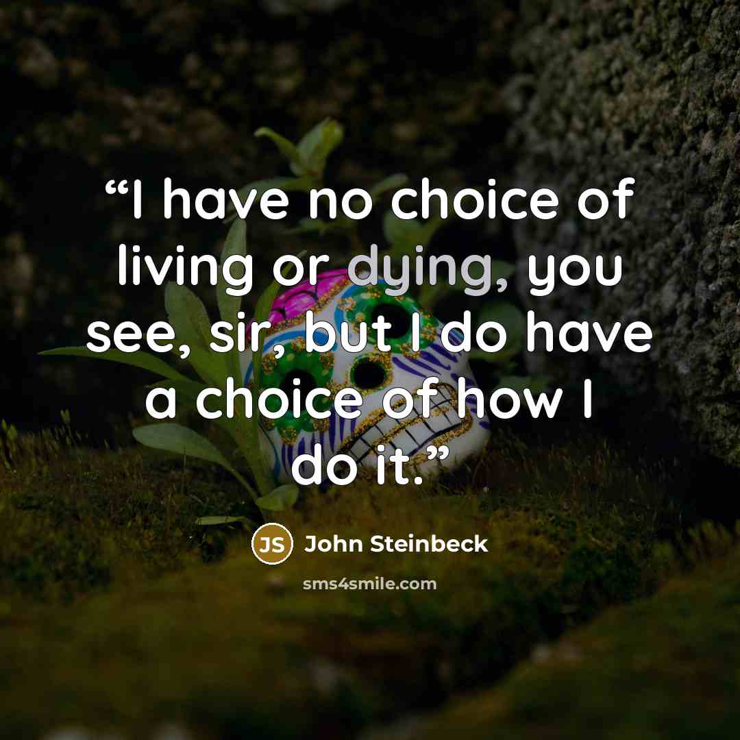“I have no choice of living or dying, you see, sir, but I do have a choice of how I do it.” quote by John Steinbeck