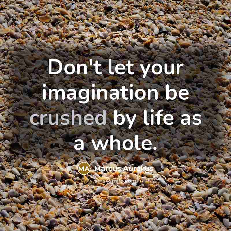 “Don't let your imagination be crushed by life as a whole.” quote by Marcus Aurelius