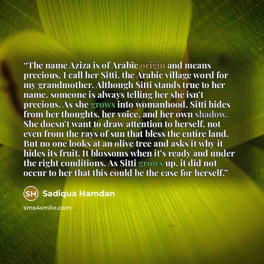 “The name Aziza is of Arabic origin and means precious. I call her Sitti, the Arabic village word for my grandmother. Although Sitti stands true to her name, someone is always telling her she isn’t precious. As she grows into womanhood, Sitti hides from her thoughts, her voice, and her own shadow…” quote by Sadiqua Hamdan