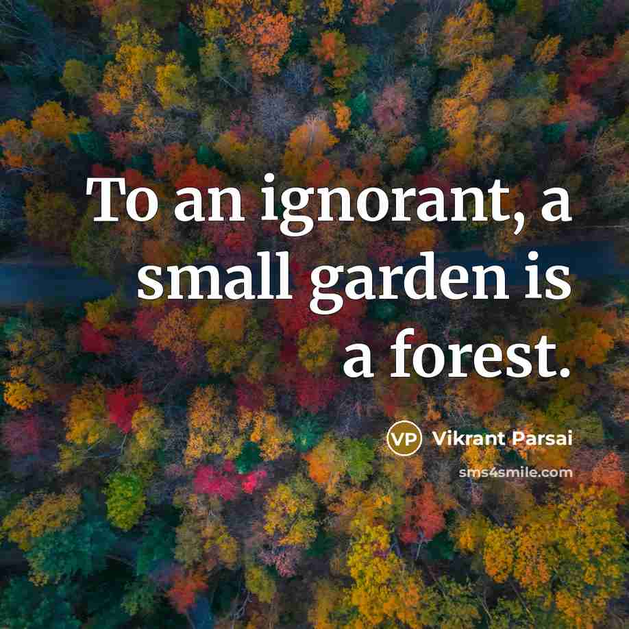 “To an ignorant, a small garden is a forest.” quote by Vikrant Parsai