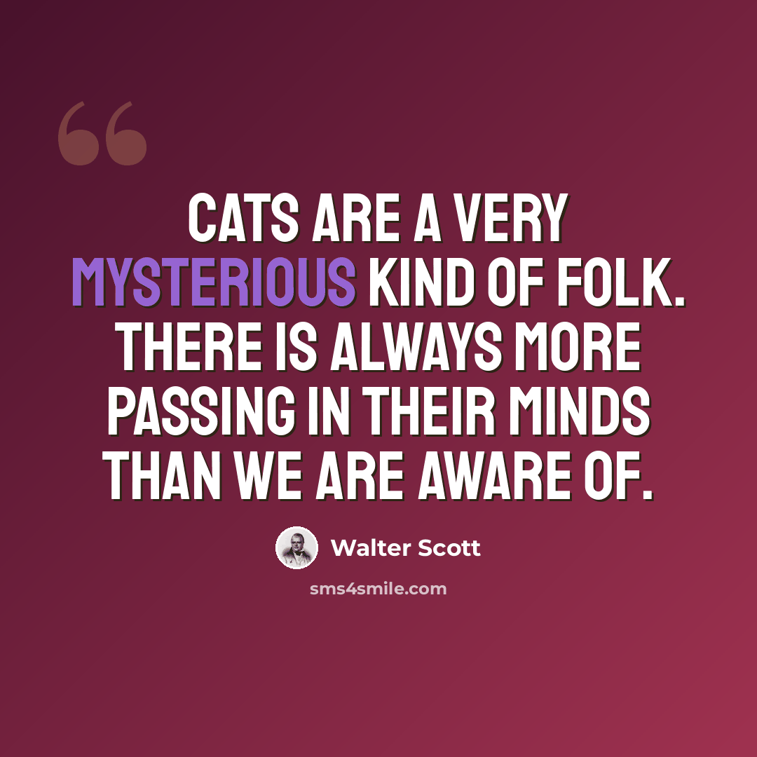 “Cats are a very mysterious kind of folk. There is always more passing in their minds than we are aware of.” quote by Walter Scott