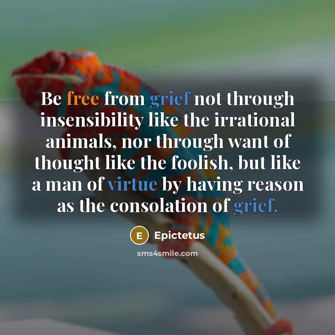 “Be free from grief not through insensibility like the irrational animals, nor through want of thought like the foolish, but like a man of virtue by having reason as the consolation of grief.” quote by Epictetus