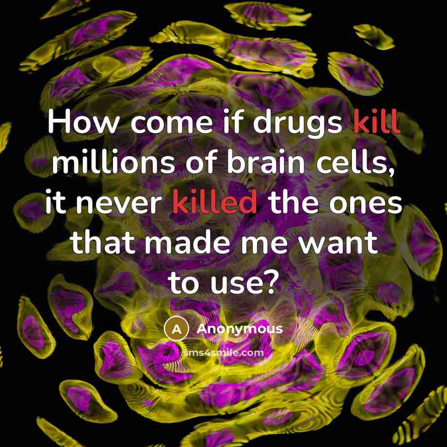 “How come if drugs kill millions of brain cells, it never killed the ones that made me want to use?” quote by Anonymous
