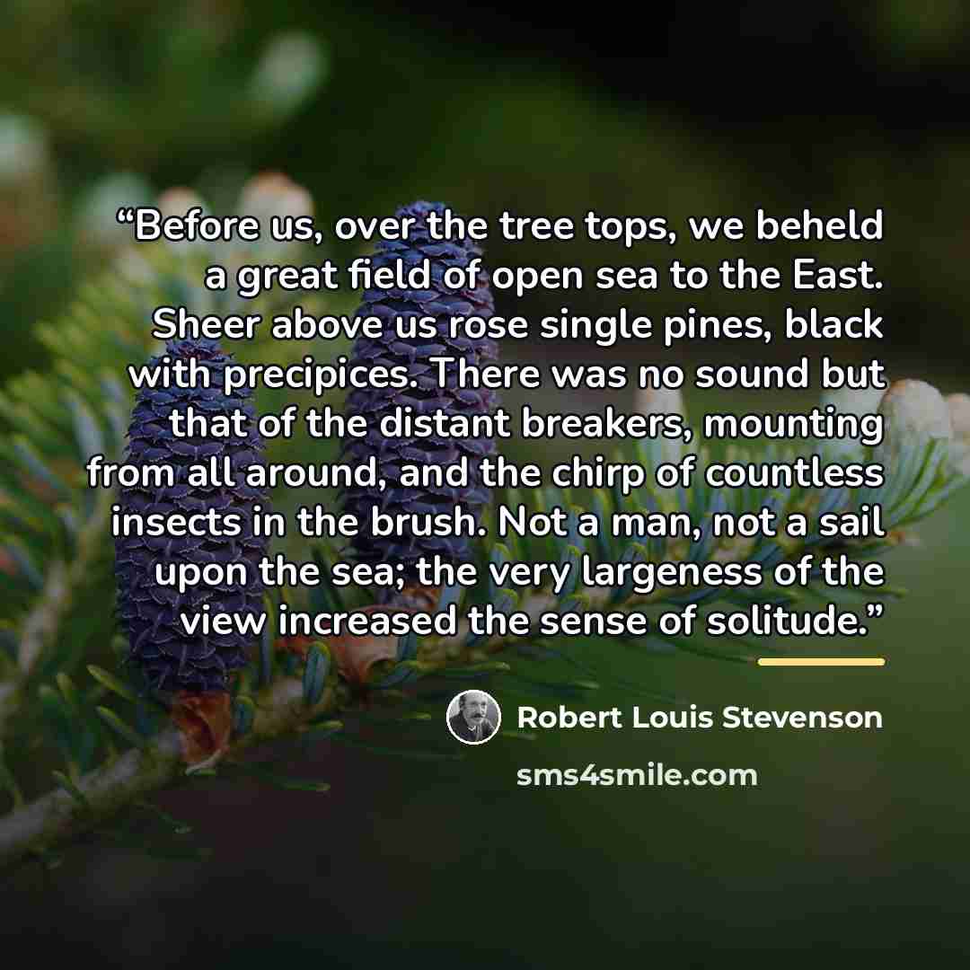 “Before us, over the tree tops, we beheld a great field of open sea to the East. Sheer above us rose single pines, black with precipices. There was no sound but that of the distant breakers, mounting from all around, and the chirp of countless insects in the brush. Not a man, not a sail upon the…” quote by Robert Louis Stevenson