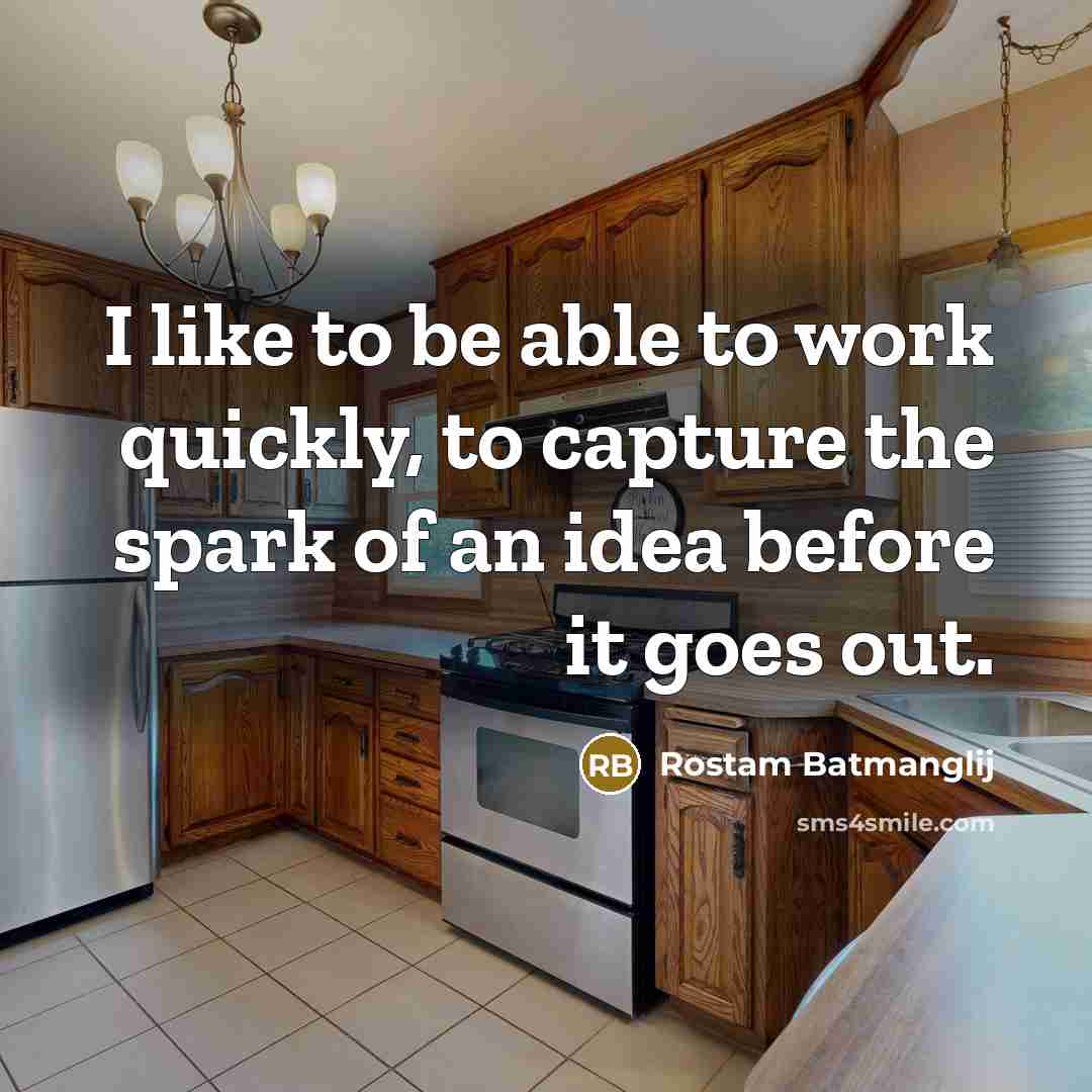 “I like to be able to work quickly, to capture the spark of an idea before it goes out.” quote by Rostam Batmanglij