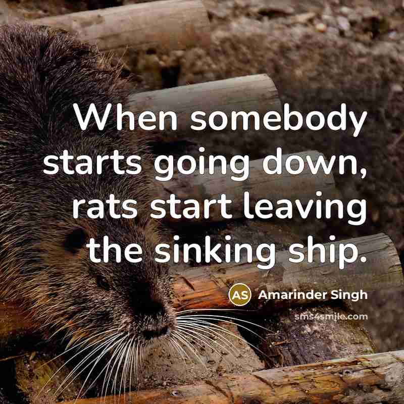 “When somebody starts going down, rats start leaving the sinking ship.” quote by Amarinder Singh