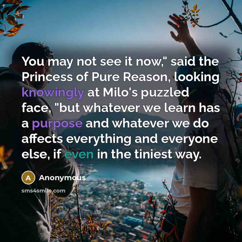 “You may not see it now," said the Princess of Pure Reason, looking knowingly at Milo's puzzled face, "but whatever we learn has a purpose and whatever we do affects everything and everyone else, if even in the tiniest way.” quote by Anonymous
