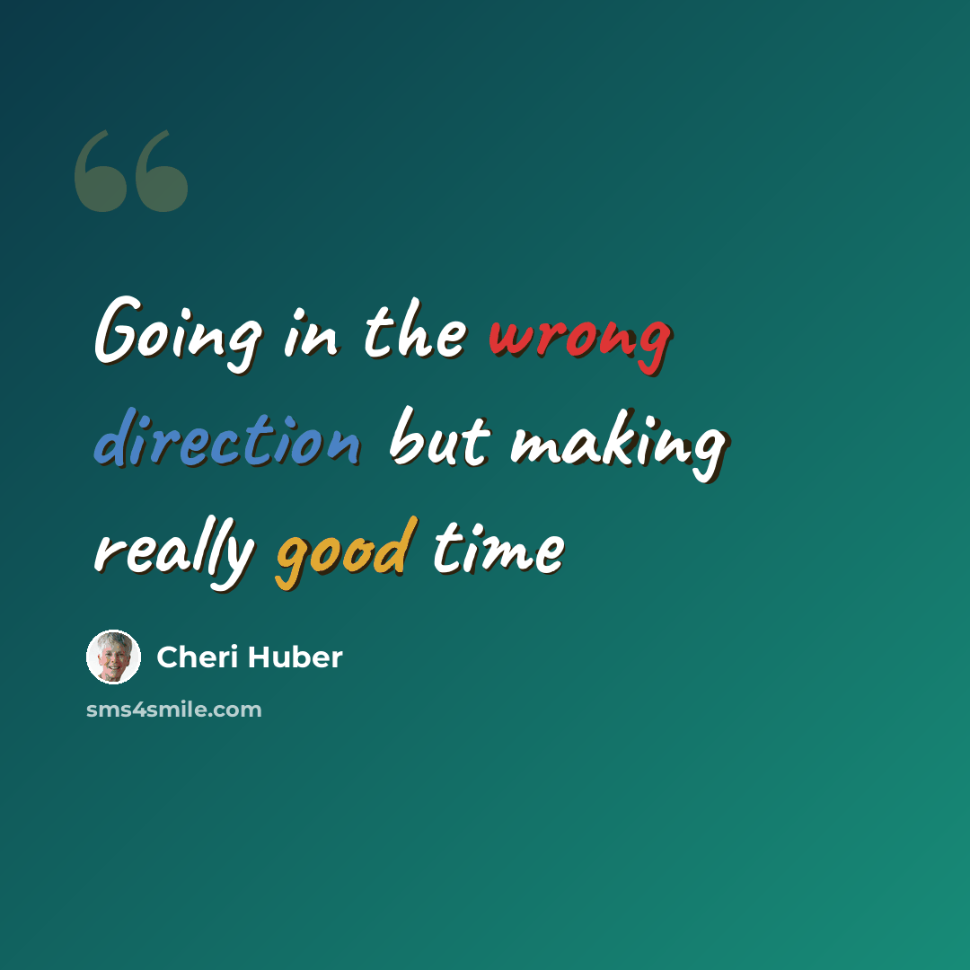 “Going in the wrong direction but making really good time” quote by Cheri Huber