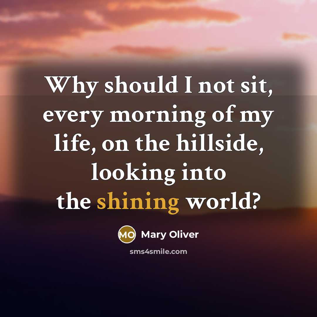 “Why should I not sit, every morning of my life, on the hillside, looking into the shining world?” quote by Mary Oliver