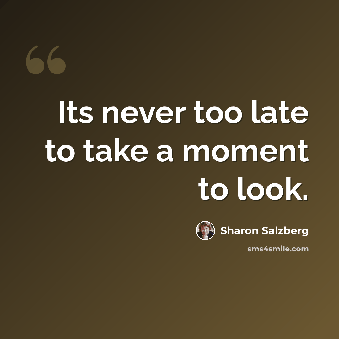 “Its never too late to take a moment to look.” quote by Sharon Salzberg