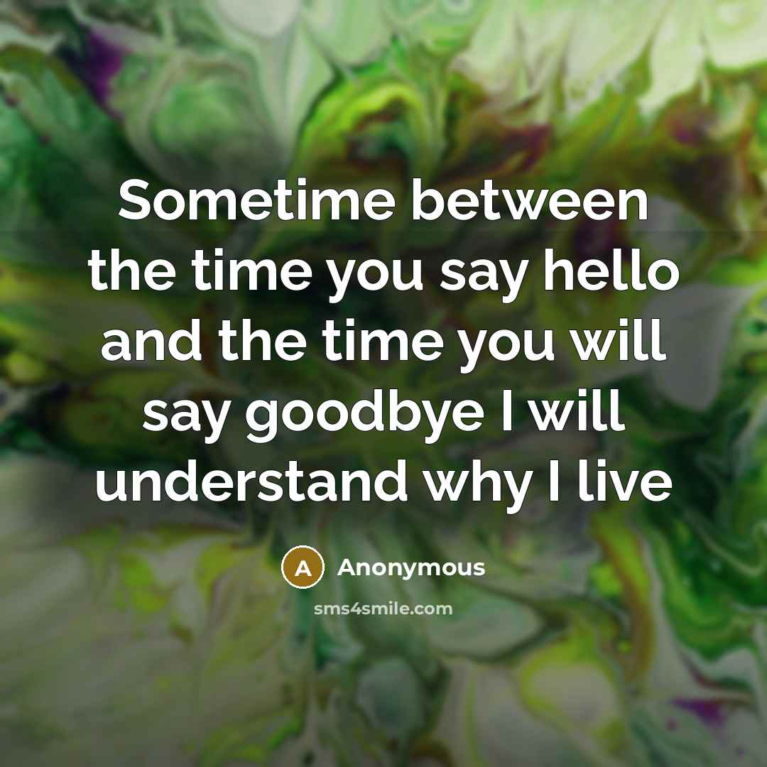 “Sometime between the time you say hello and the time you will say goodbye I will understand why I live” quote by Anonymous
