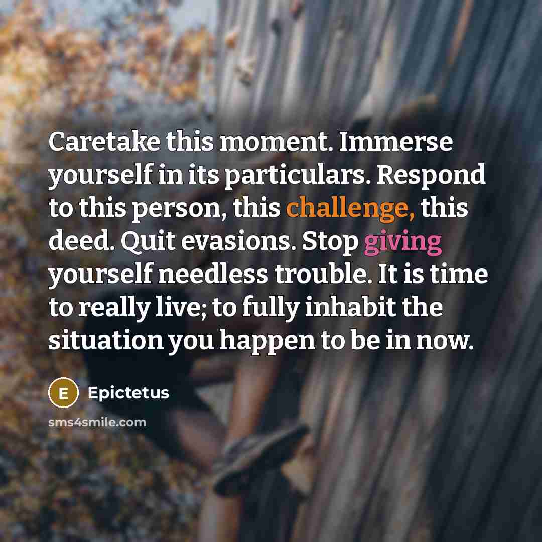 “Caretake this moment. Immerse yourself in its particulars. Respond to this person, this challenge, this deed. Quit evasions. Stop giving yourself needless trouble. It is time to really live; to fully inhabit the situation you happen to be in now.” quote by Epictetus