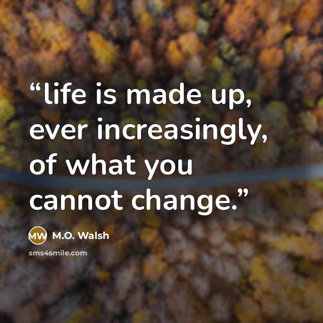 “life is made up, ever increasingly, of what you cannot change.” quote by M.O. Walsh