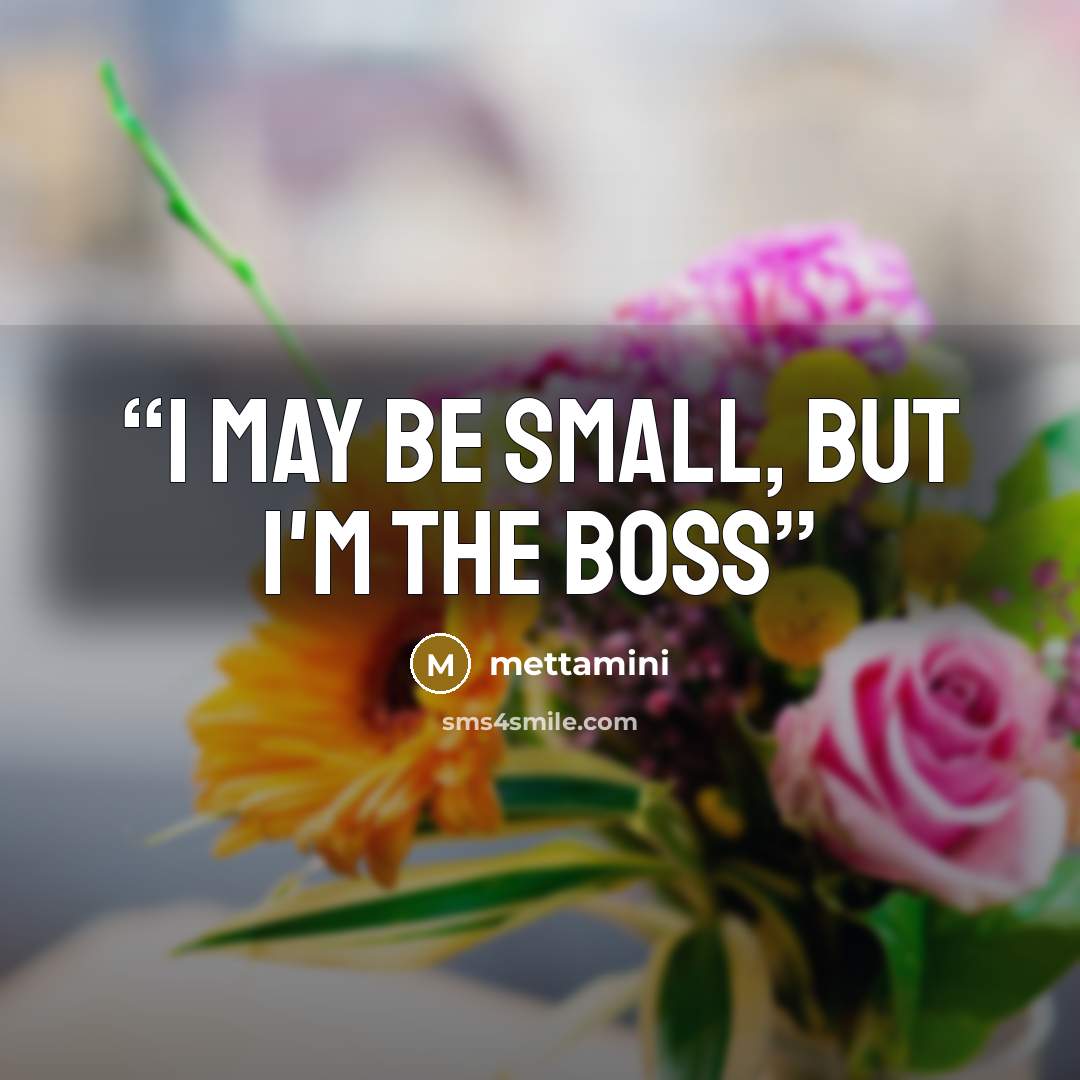 “i may be small, but i'm the boss” quote by mettamini