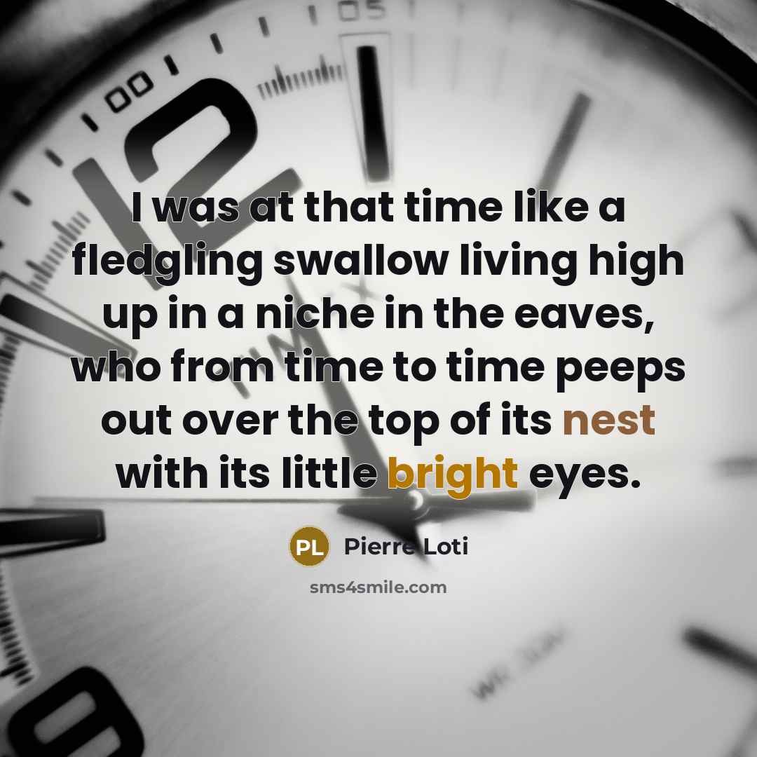 “I was at that time like a fledgling swallow living high up in a niche in the eaves, who from time to time peeps out over the top of its nest with its little bright eyes.” quote by Pierre Loti