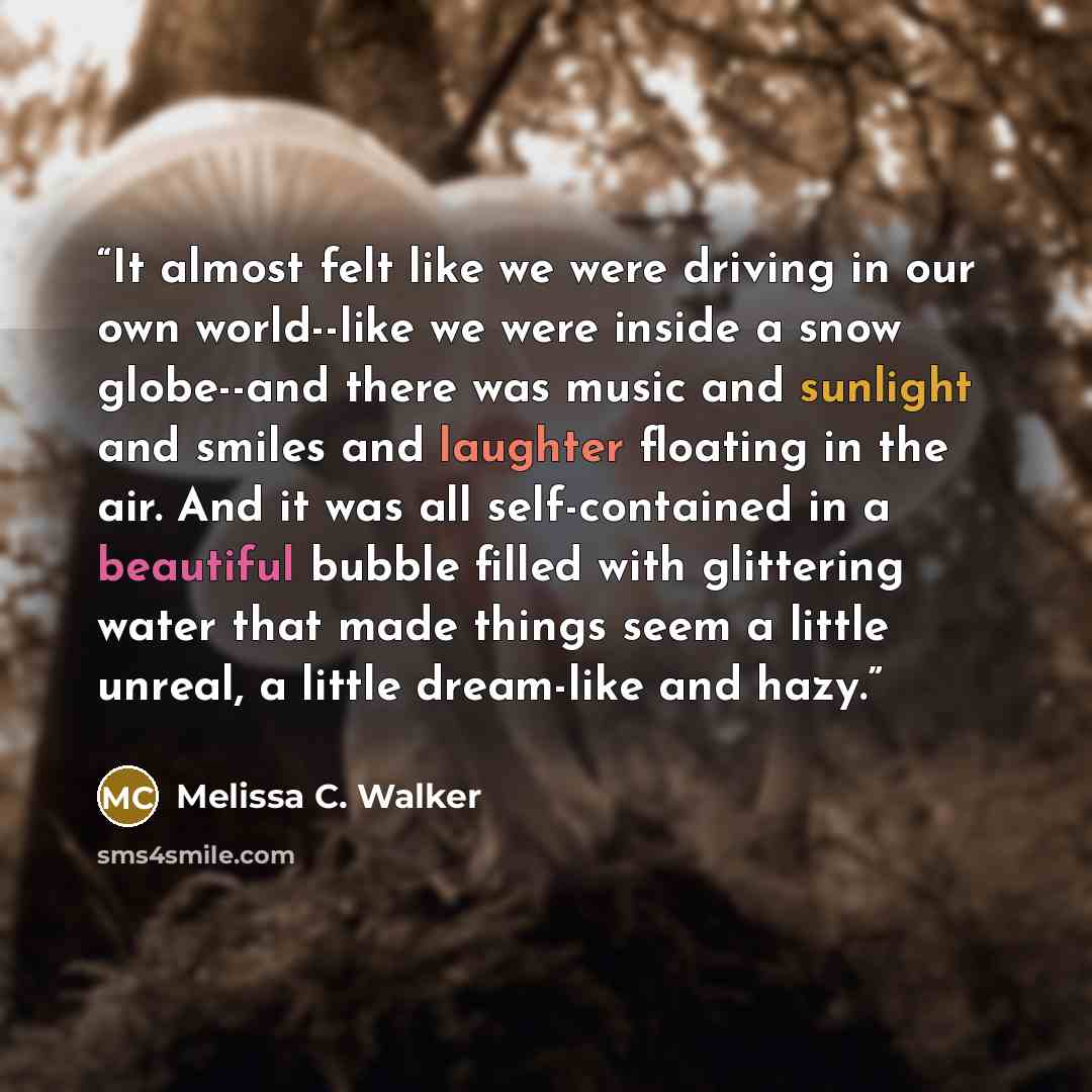 “It almost felt like we were driving in our own world--like we were inside a snow globe--and there was music and sunlight and smiles and laughter floating in the air. And it was all self-contained in a beautiful bubble filled with glittering water that made things seem a little unreal, a little…” quote by Melissa C. Walker