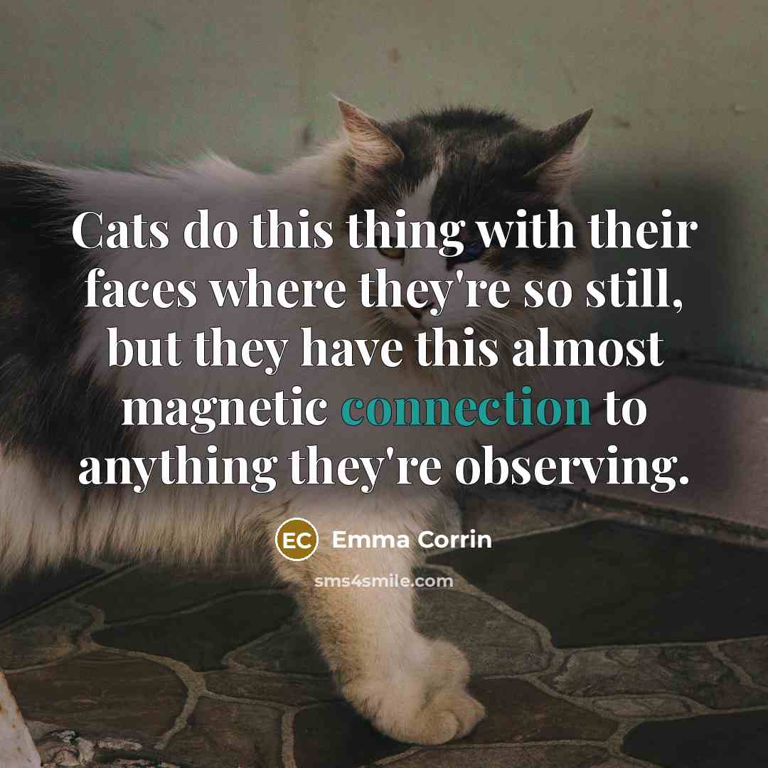 “Cats do this thing with their faces where they're so still, but they have this almost magnetic connection to anything they're observing.” quote by Emma Corrin