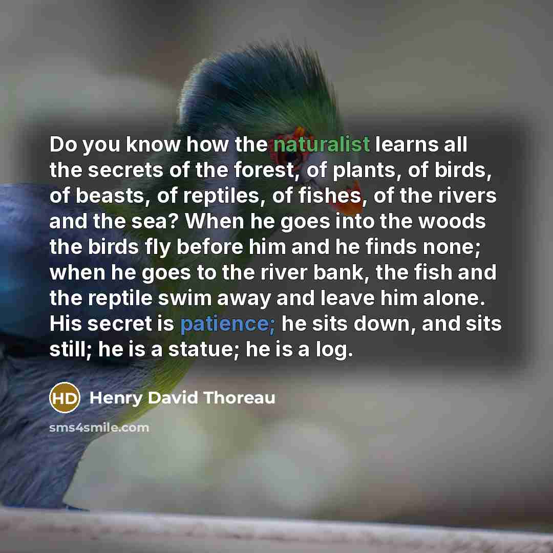 “Do you know how the naturalist learns all the secrets of the forest, of plants, of birds, of beasts, of reptiles, of fishes, of the rivers and the sea? When he goes into the woods the birds fly before him and he finds none; when he goes to the river bank, the fish and the reptile swim away and…” quote by Henry David Thoreau