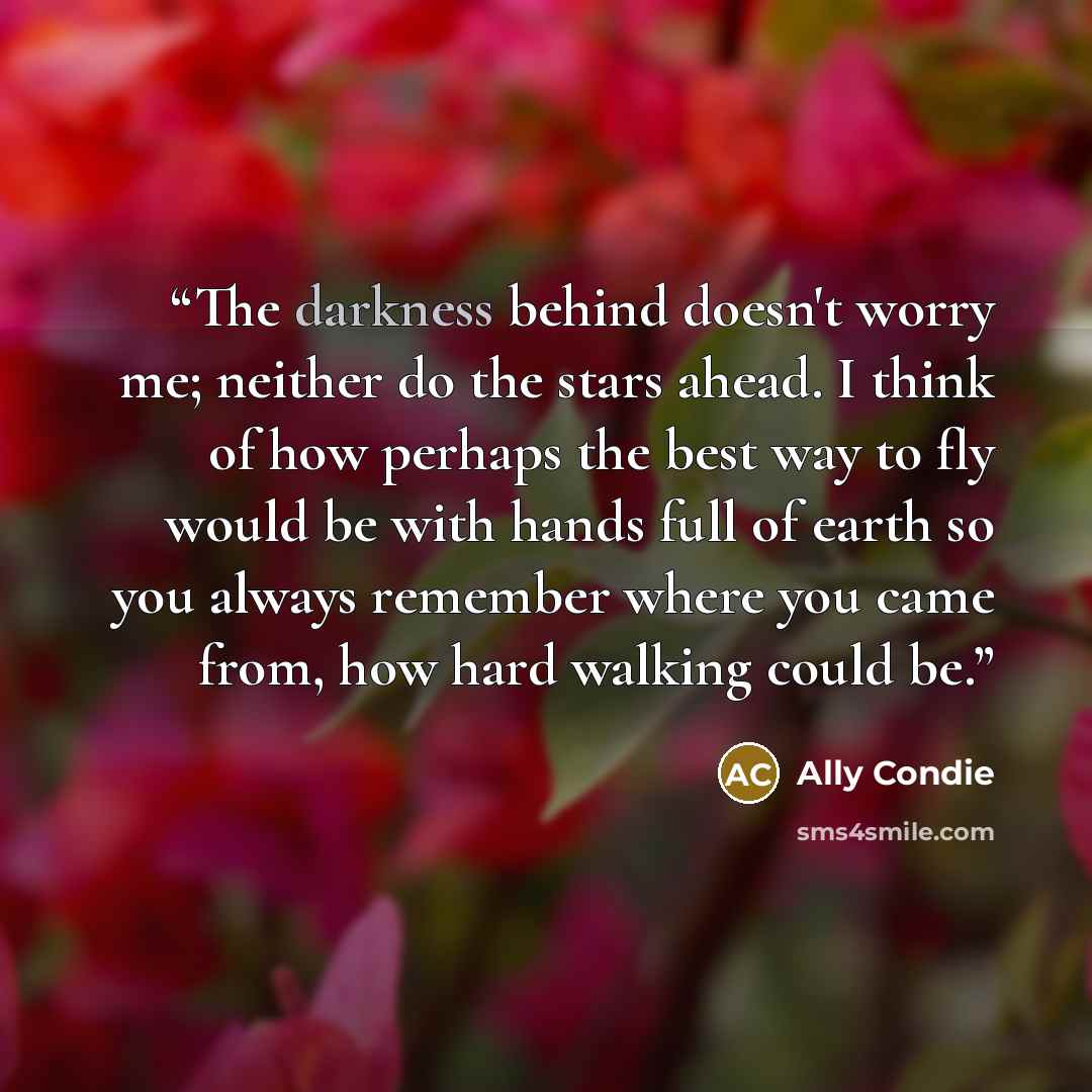 “The darkness behind doesn't worry me; neither do the stars ahead. I think of how perhaps the best way to fly would be with hands full of earth so you always remember where you came from, how hard walking could be.” quote by Ally Condie
