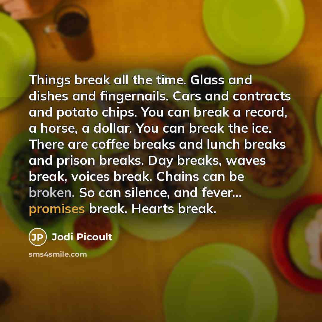 “Things break all the time. Glass and dishes and fingernails. Cars and contracts and potato chips. You can break a record, a horse, a dollar. You can break the ice. There are coffee breaks and lunch breaks and prison breaks. Day breaks, waves break, voices break. Chains can be broken. So can…” quote by Jodi Picoult