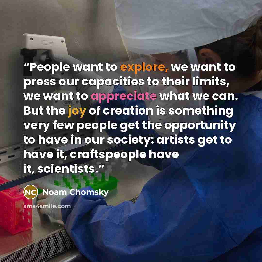 “People want to explore, we want to press our capacities to their limits, we want to appreciate what we can. But the joy of creation is something very few people get the opportunity to have in our society: artists get to have it, craftspeople have it, scientists.” quote by Noam Chomsky