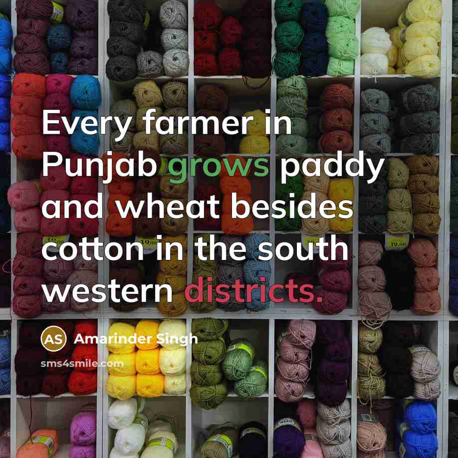 “Every farmer in Punjab grows paddy and wheat besides cotton in the south western districts.” quote by Amarinder Singh