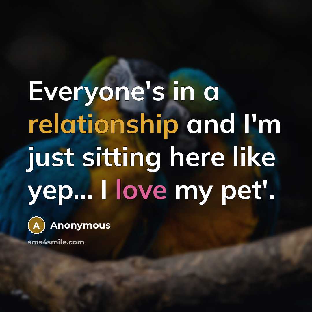 “Everyone's in a relationship and I'm just sitting here like yep… I love my pet'.” quote by Anonymous